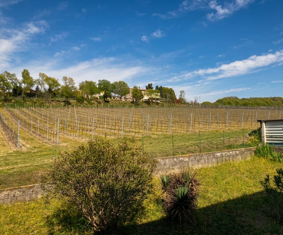 Appartamento - Cavriana